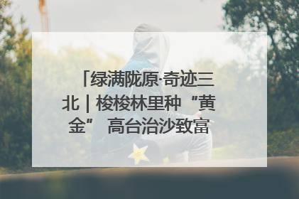 绿满陇原·奇迹三北｜梭梭林里种“黄金” 高台治沙致富很“从容”