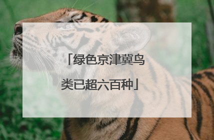 绿色京津冀鸟类已超六百种