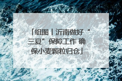 组图丨沂南做好“三夏”保障工作 确保小麦颗粒归仓