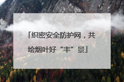 织密安全防护网，共绘烟叶好“丰”景