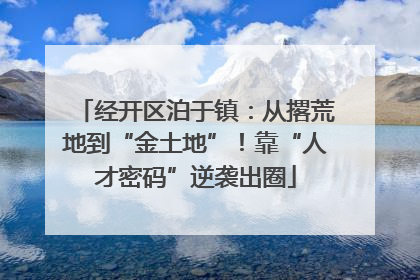 经开区泊于镇：从撂荒地到“金土地”！靠“人才密码”逆袭出圈