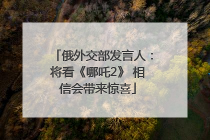 俄外交部发言人：将看《哪吒2》 相信会带来惊喜