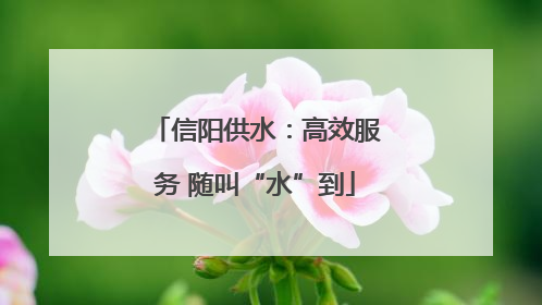 信阳供水：高效服务 随叫“水”到