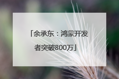 余承东：鸿蒙开发者突破800万