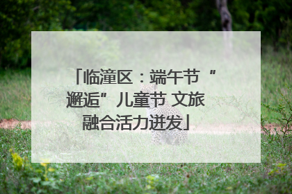 临潼区：端午节“邂逅”儿童节 文旅融合活力迸发