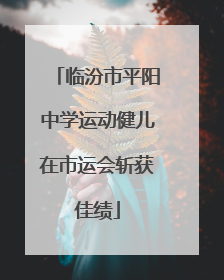 临汾市平阳中学运动健儿在市运会斩获佳绩