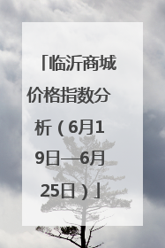 临沂商城价格指数分析（6月19日—6月25日）