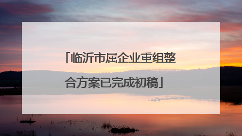 临沂市属企业重组整合方案已完成初稿