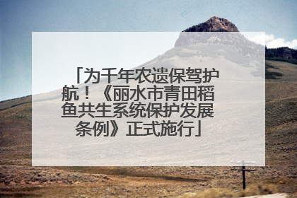 为千年农遗保驾护航！《丽水市青田稻鱼共生系统保护发展条例》正式施行