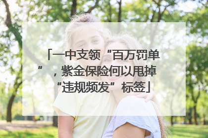 一中支领“百万罚单”，紫金保险何以甩掉“违规频发”标签