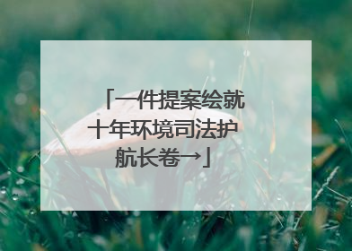 一件提案绘就十年环境司法护航长卷→