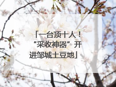 一台顶十人！“采收神器”开进邹城土豆地