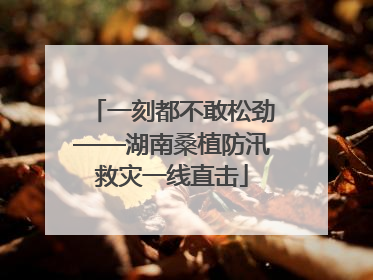 一刻都不敢松劲——湖南桑植防汛救灾一线直击