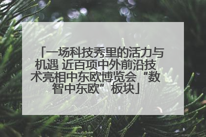 一场科技秀里的活力与机遇 近百项中外前沿技术亮相中东欧博览会“数智中东欧”板块