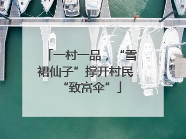 一村一品，“雪裙仙子”撑开村民“致富伞”