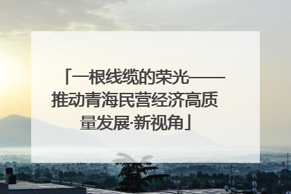 一根线缆的荣光——推动青海民营经济高质量发展·新视角
