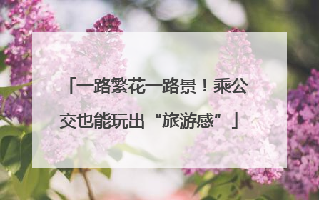 一路繁花一路景！乘公交也能玩出“旅游感”