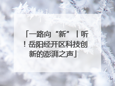 一路向“新”丨听！岳阳经开区科技创新的澎湃之声