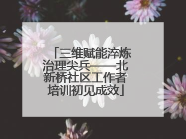三维赋能淬炼治理尖兵——北新桥社区工作者培训初见成效