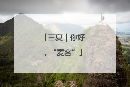 三夏｜你好，“麦客”