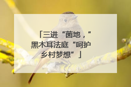 三进“菌地，”黑木耳法庭“呵护乡村梦想”
