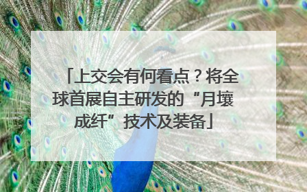 上交会有何看点？将全球首展自主研发的“月壤成纤”技术及装备