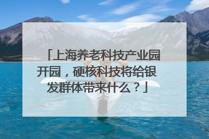 上海养老科技产业园开园，硬核科技将给银发群体带来什么？
