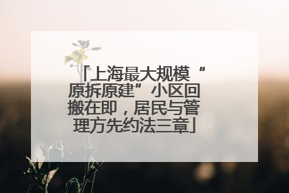 上海最大规模“原拆原建”小区回搬在即，居民与管理方先约法三章