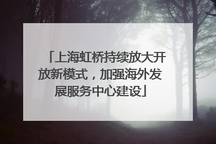 上海虹桥持续放大开放新模式，加强海外发展服务中心建设