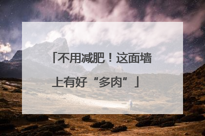 不用减肥！这面墙上有好“多肉”