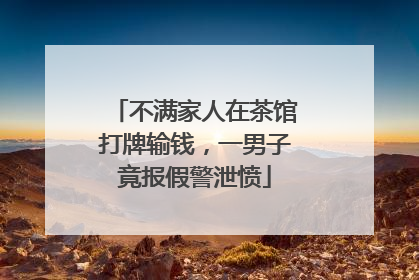 不满家人在茶馆打牌输钱，一男子竟报假警泄愤