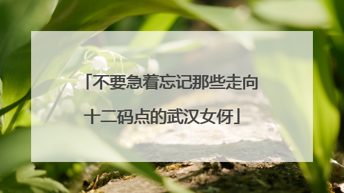 不要急着忘记那些走向十二码点的武汉女伢