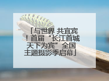 与世界 共宜宾！首届“长江首城 天下为宾”全国主题摄影季启幕