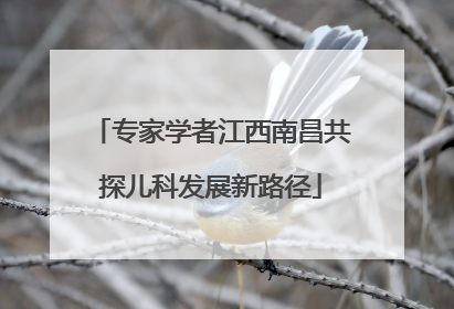 专家学者江西南昌共探儿科发展新路径