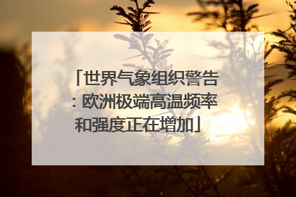 世界气象组织警告：欧洲极端高温频率和强度正在增加