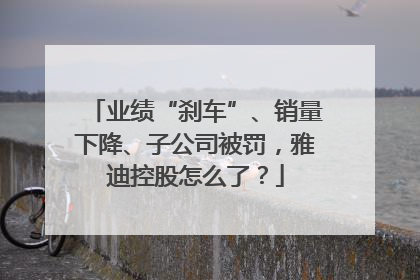 业绩“刹车”、销量下降、子公司被罚，雅迪控股怎么了？