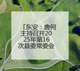 东安：唐何主持召开2025年第16次县委常委会会议
