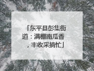 东平县彭集街道：满棚南瓜香，丰收采摘忙