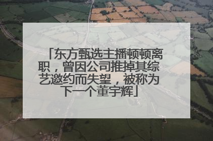 东方甄选主播顿顿离职，曾因公司推掉其综艺邀约而失望，被称为下一个董宇辉