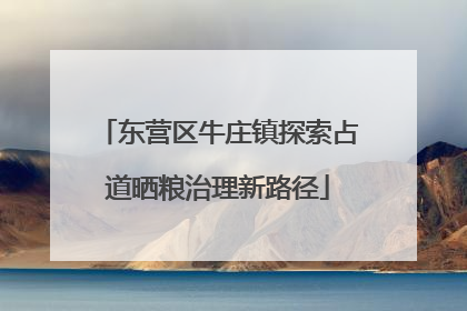 东营区牛庄镇探索占道晒粮治理新路径