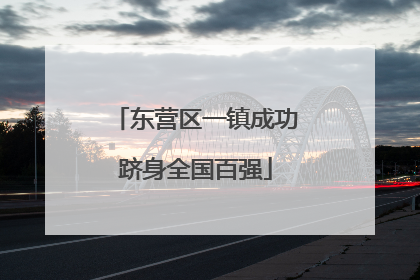 东营区一镇成功跻身全国百强