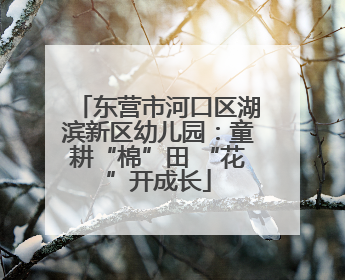 东营市河口区湖滨新区幼儿园：童耕“棉”田 “花”开成长