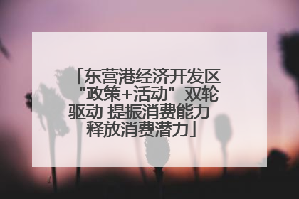 东营港经济开发区“政策+活动”双轮驱动 提振消费能力 释放消费潜力