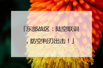 东部战区：陆空联训，防空利刃出击！