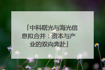 中科曙光与海光信息拟合并：资本与产业的双向奔赴