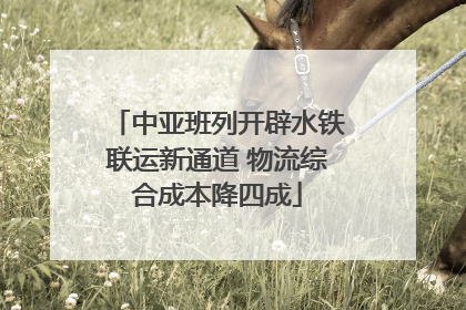 中亚班列开辟水铁联运新通道 物流综合成本降四成