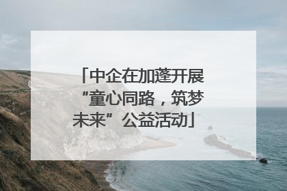 中企在加蓬开展“童心同路，筑梦未来”公益活动
