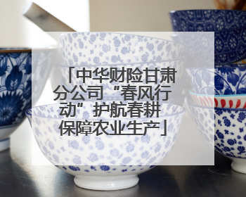 中华财险甘肃分公司“春风行动”护航春耕 保障农业生产