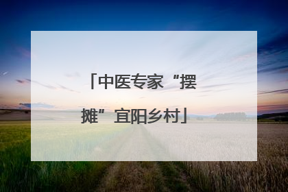 中医专家“摆摊”宜阳乡村