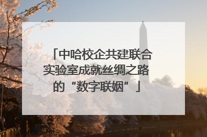 中哈校企共建联合实验室成就丝绸之路的“数字联姻”